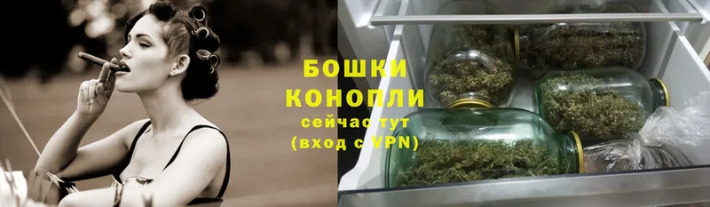 купить   Волгореченск  Канабис Ganja 